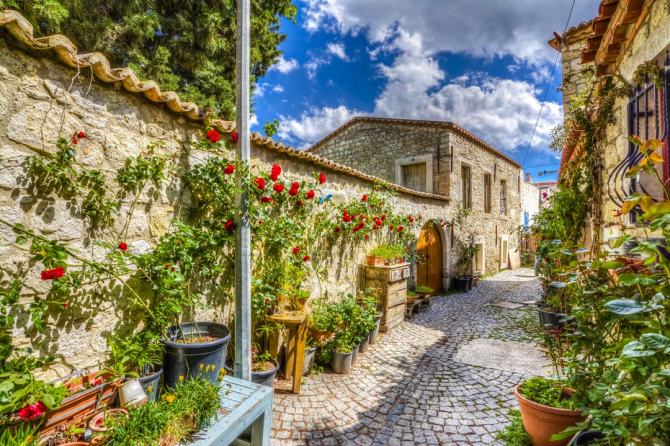 Фотошпалери провулок з трояндами