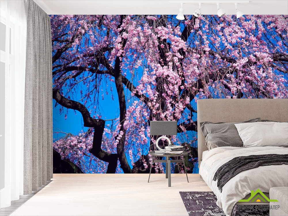 Фотообои Цветущая сакура