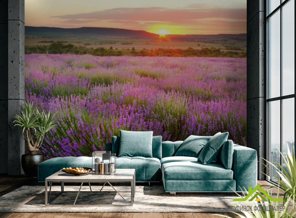 выбрать Фотошпалери Лавандове поле на заході Фотошпалери Природа на стіну