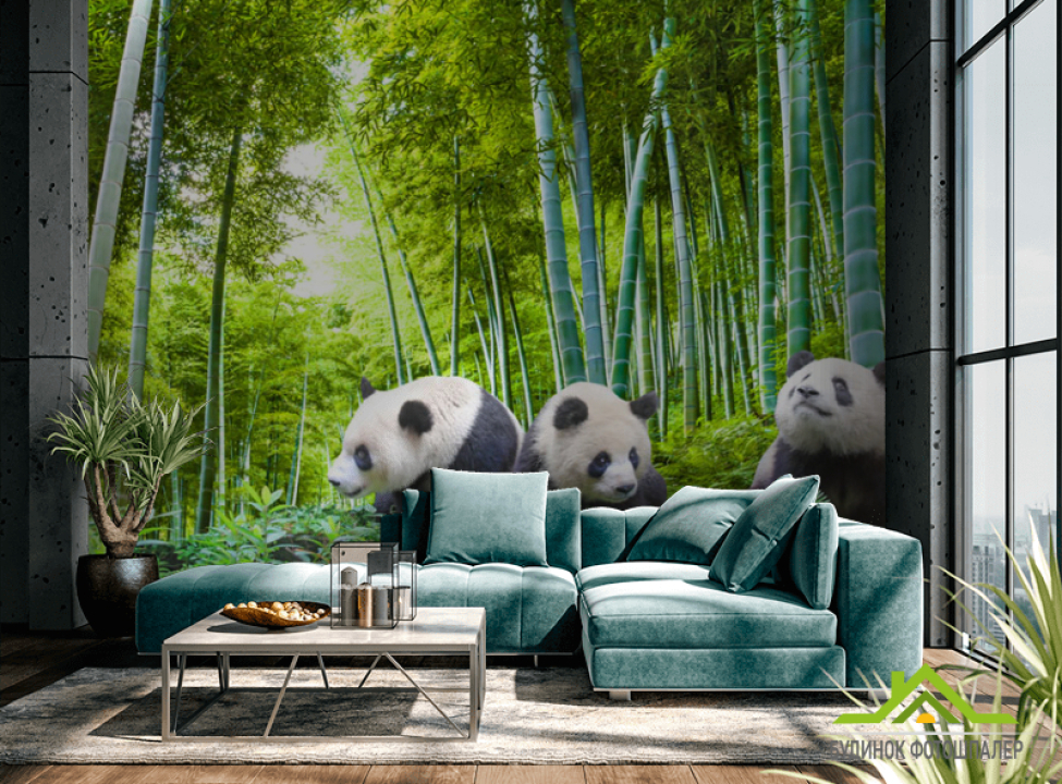 выбрать Фотошпалери Панди в бамбуку Фотошпалери Природа на стіну