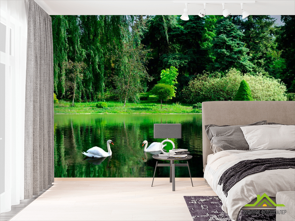 Фотообои Лебеди, вода