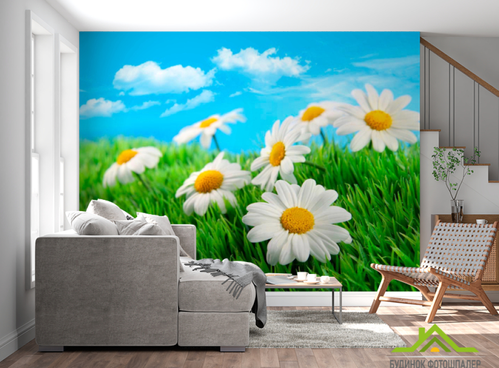 выбрать Фотообои Полевые ромашки Фотообои Ромашки на стену