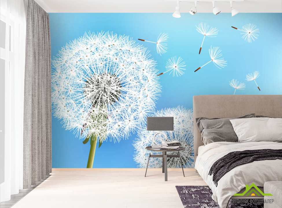 выбрать Фотошпалери кульбаби Фотошпалери різні на стіну