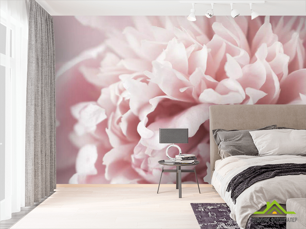 Фотошпалери Півонія макро