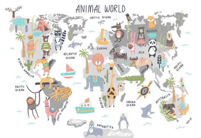 Фотообои Детская карта с животными