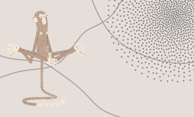 Фотошпалери мавпочка