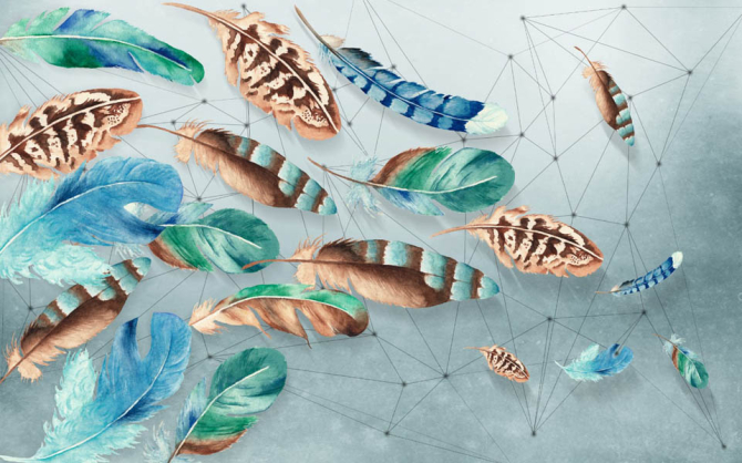 Фотошпалери Кольорові пір'я