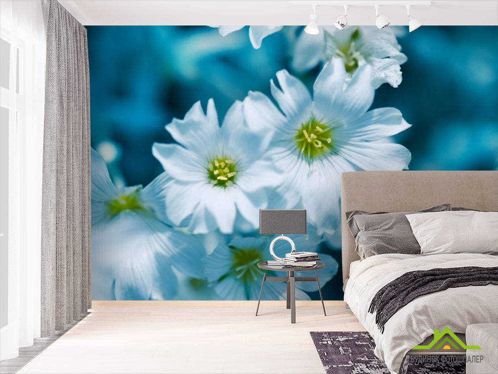 Фотошпалери Зірочник