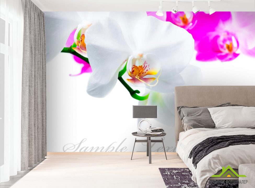 выбрать Фотообои Бело-розовые орхидеи Фотообои Цветы на стену