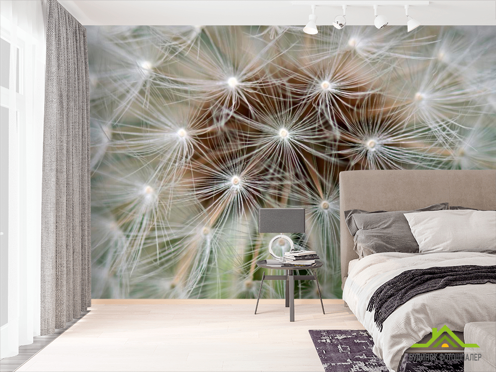Фотообои Одуванчик