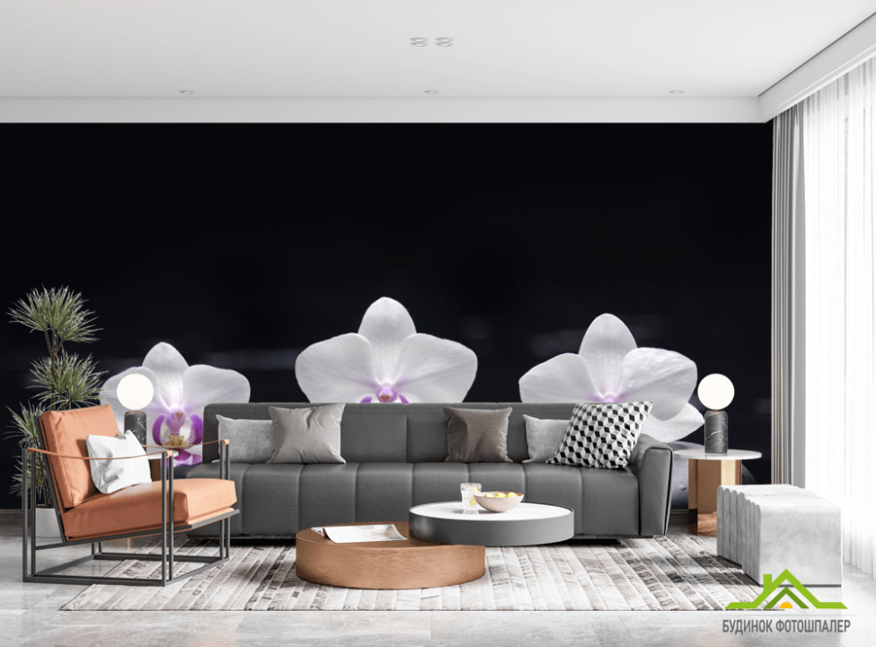 выбрать Фотообои белые орхидеи на черном фоне Фотообои Цветы на стену