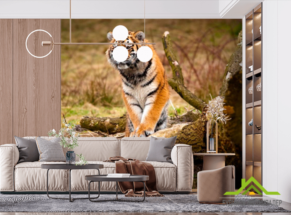 выбрать Фотошпалери Здивований тигр Фотошпалери Тигри на стіну