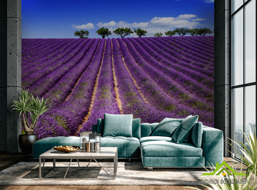 выбрать Фотообои цветы в поле Фотообои разные на стену