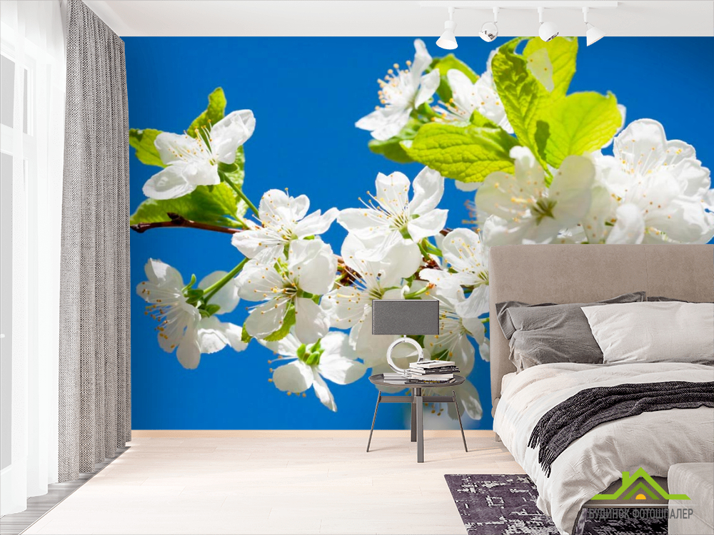 Фотообои Цветы на фоне неба