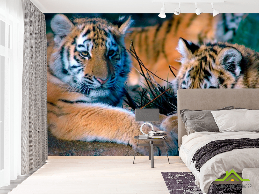 Фотошпалери Два тигра