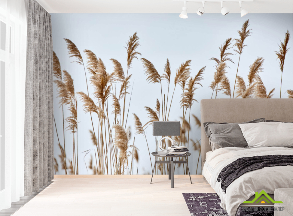 выбрать Фотошпалери сухоцвіти колоски Фотошпалери Природа на стіну
