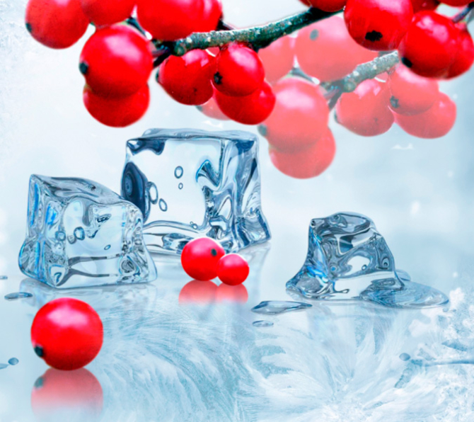 Фотошпалери Квіти