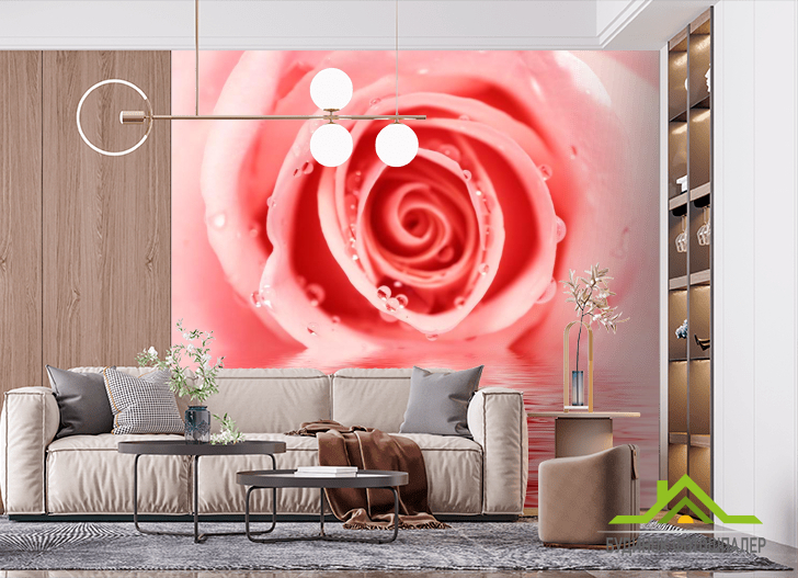Фотошпалери Роза ніжного відтінку