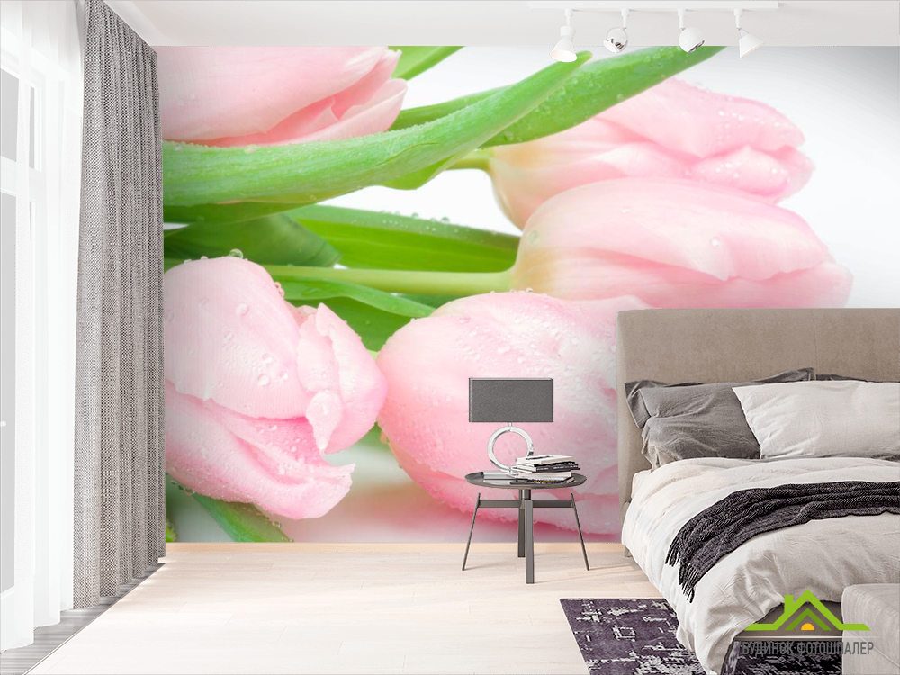 Фотошпалери Рожеві тюльпани