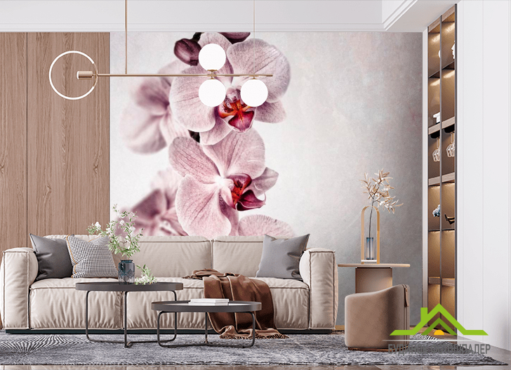 Фотошпалери Сіренькі орхідеї