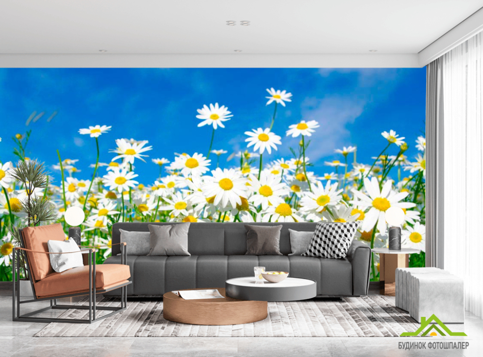 выбрать Фотообои Поле белых ромашек Фотообои Ромашки на стену