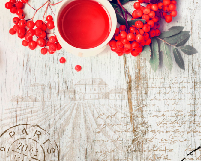 Фотошпалери Квіти