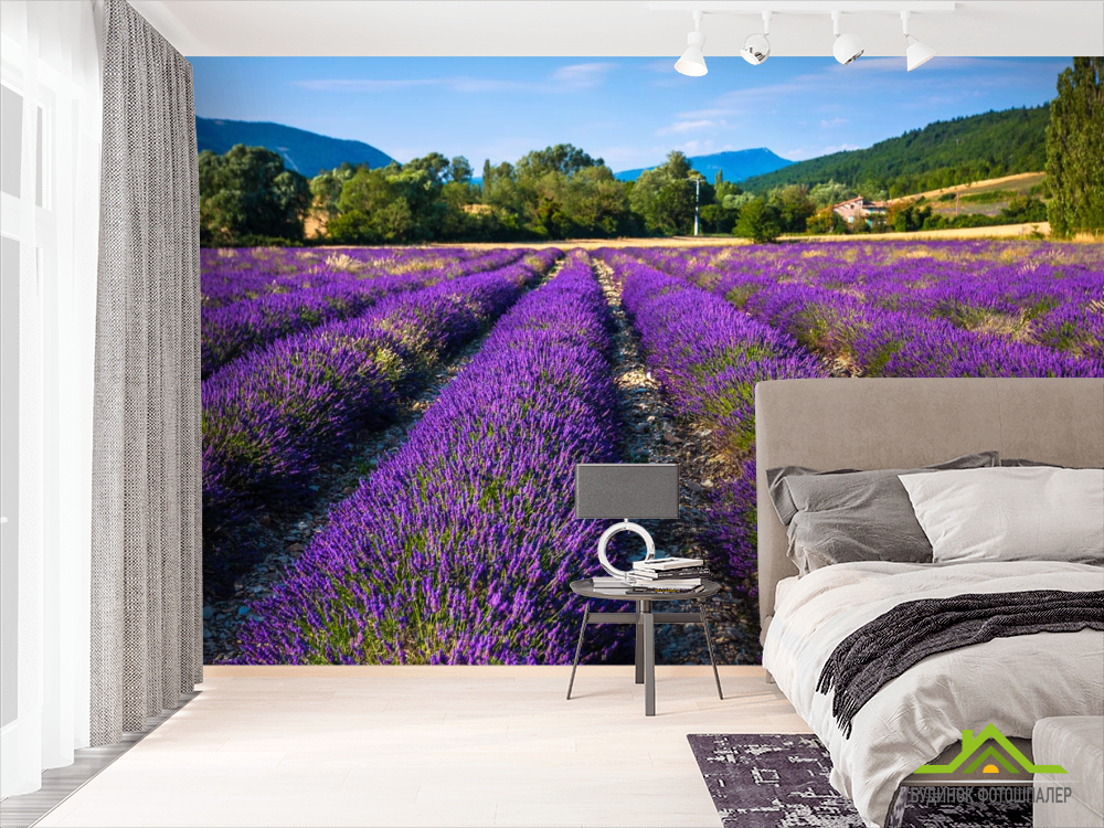 Фотошпалери поле квітів