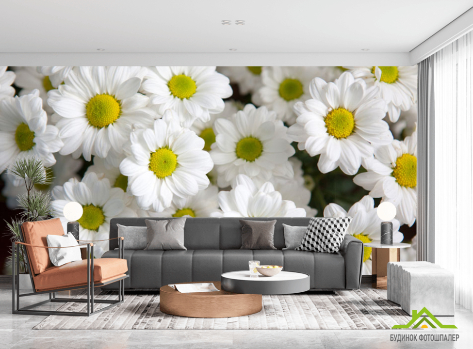 выбрать Фотообои Ромашки белые Фотообои Цветы на стену