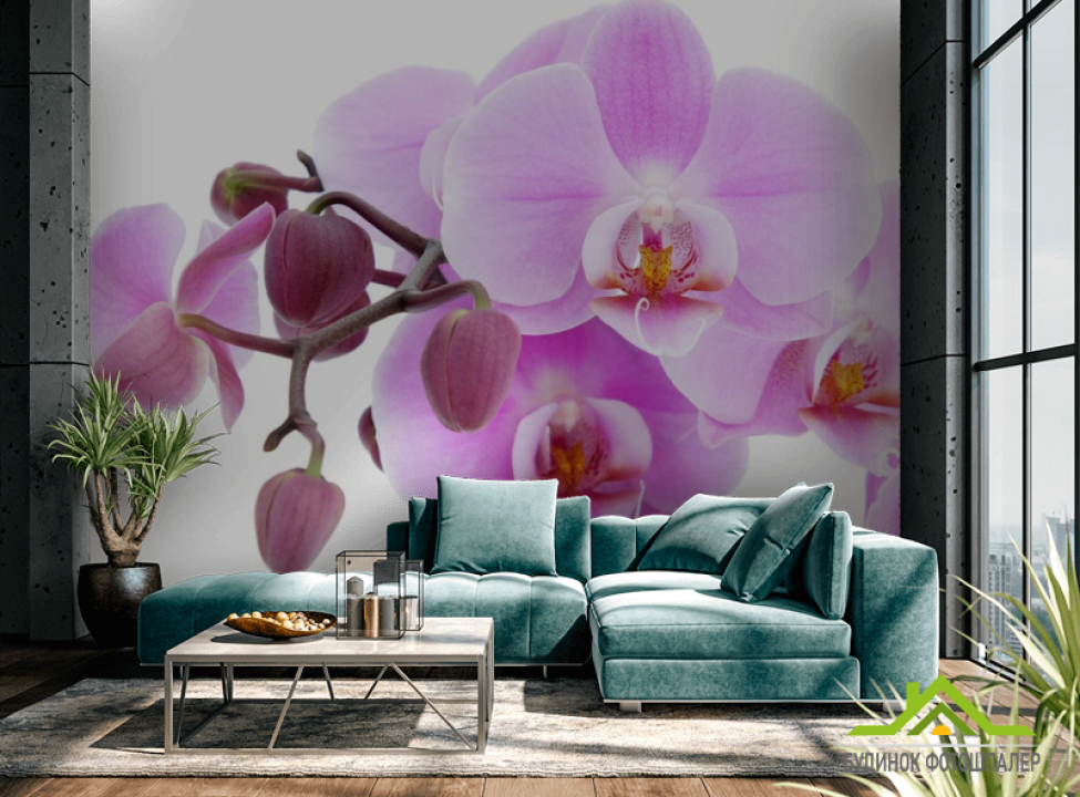 выбрать Фотообои сиреневая орхидея Фотообои Цветы на стену
