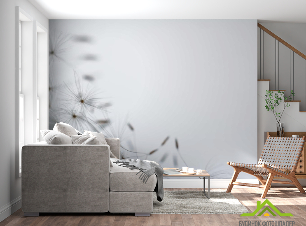 выбрать Фотообои одуванчик семена Фотообои Одуванчики на стену