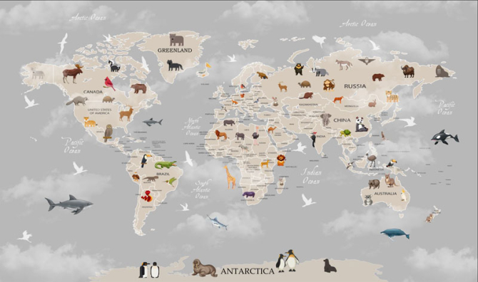 Фотообои Серая карта детская