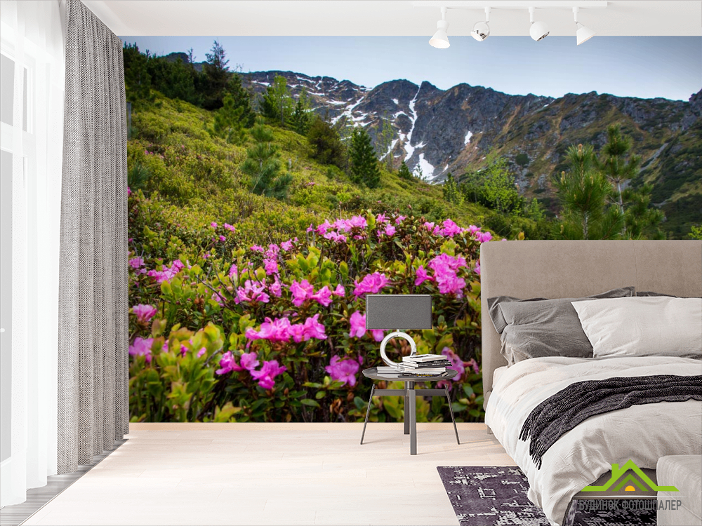 Фотообои цветы на поляне в горах