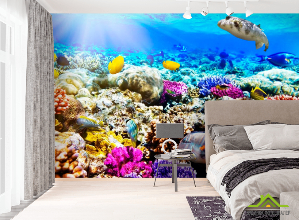 выбрать Фотошпалери Підводний світ Фотошпалери Риби і море на стіну