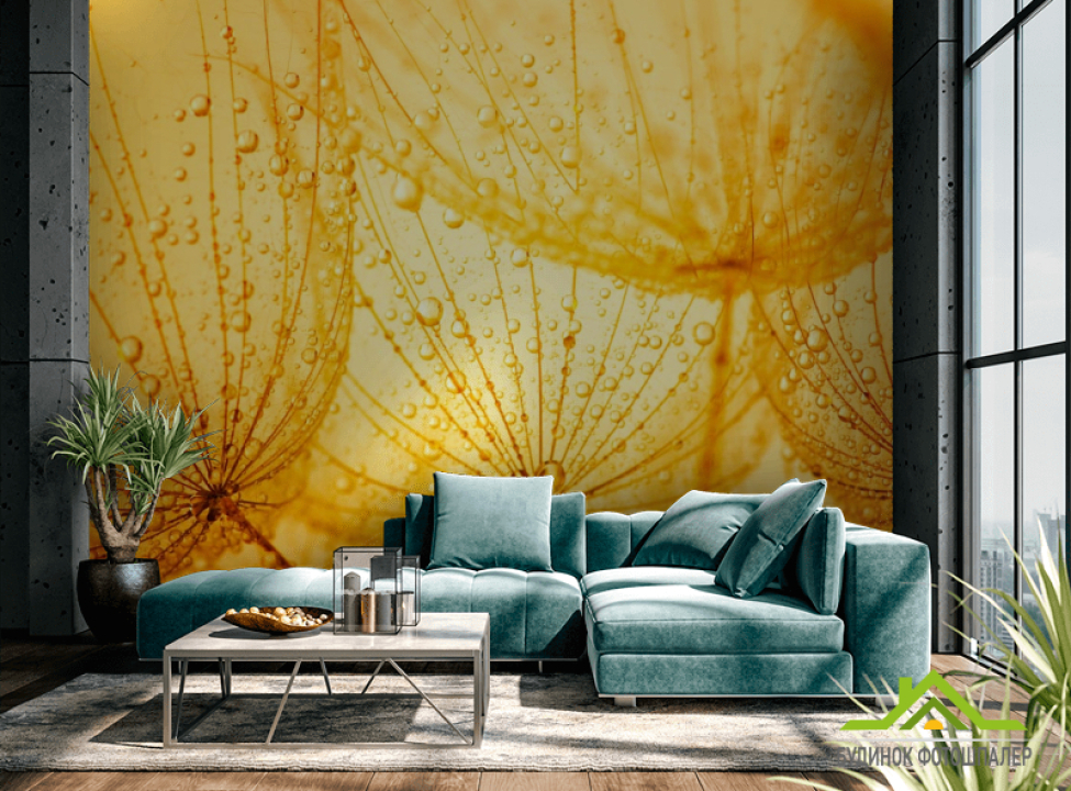 выбрать Фотообои оранжевый одуванчик Фотообои Одуванчики на стену