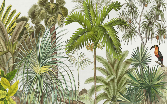 Фотошпалери тропіки і тукан