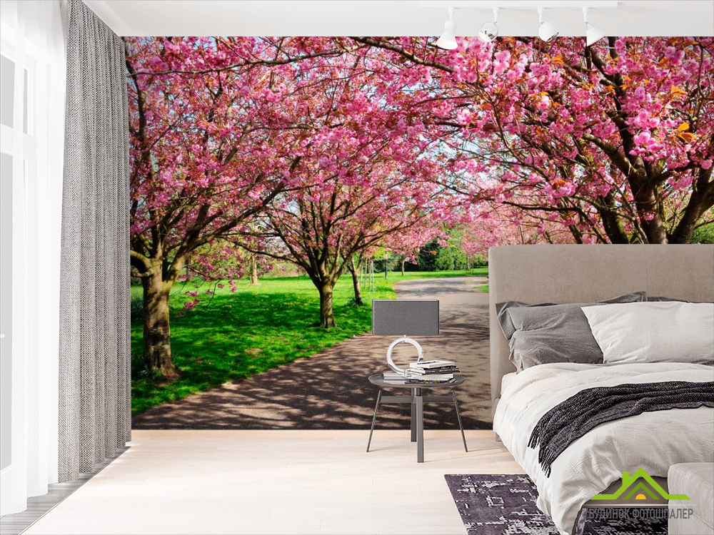 Фотошпалери Квітучі вишні