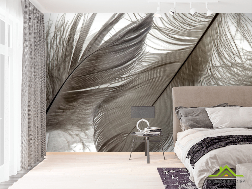 Фотошпалери Коричневі пір'я