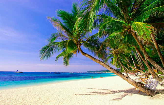 Фотошпалери Пальми тягнуться до моря