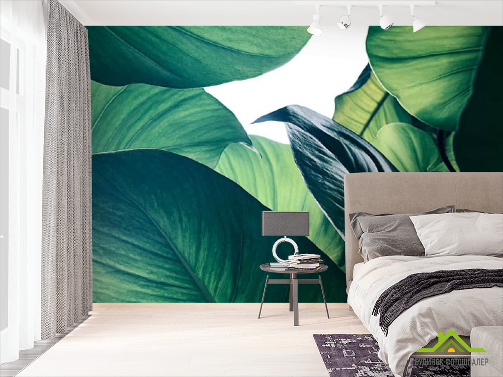 Фотошпалери зелене листя