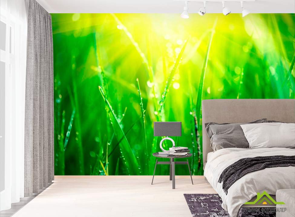выбрать Фотошпалери На траві роса Фотошпалери Природа на стіну