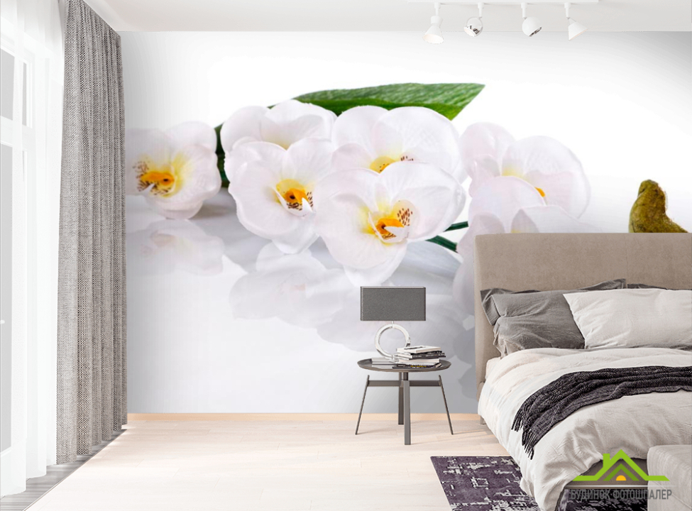 выбрать Фотошпалери Орхідея Фотошпалери Орхідеї на стіну