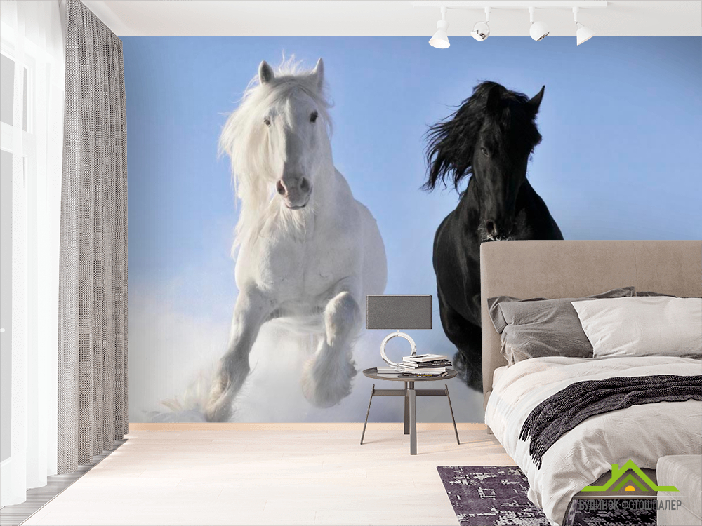 Фотошпалери Інь і Янь