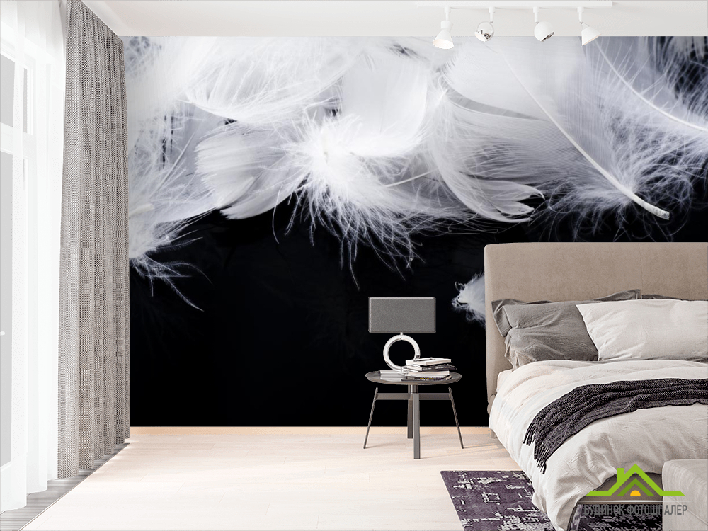 Фотошпалери білі пір'я на чорному тлі