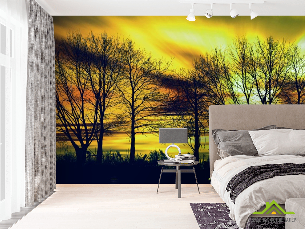 Фотошпалери жовте небо за деревами