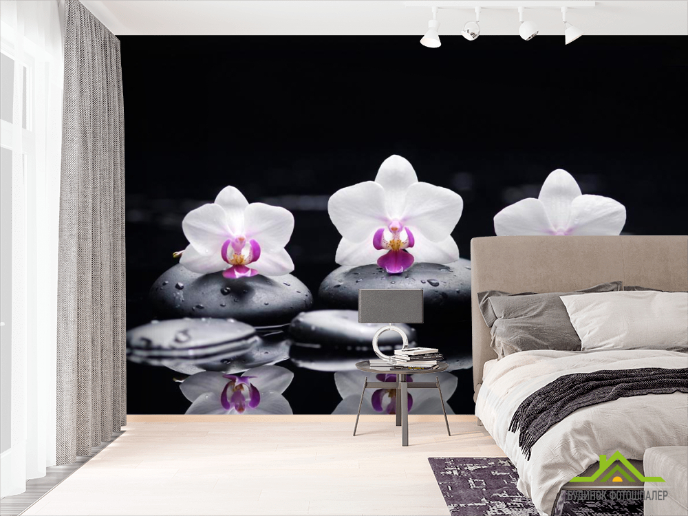 Фотошпалери Орхідея
