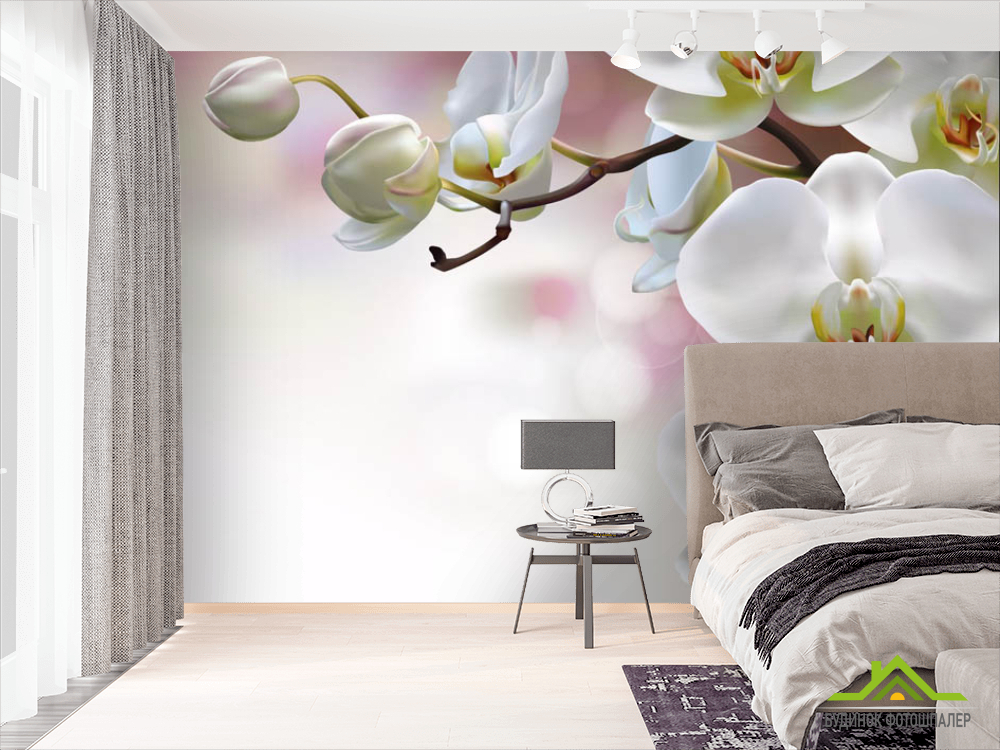 Фотошпалери Орхідеї