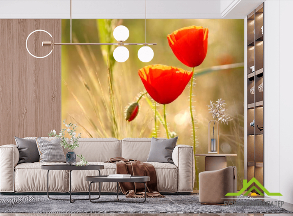 выбрать Фотошпалери Маки распустилисьв полі Фотошпалери Квіти на стіну