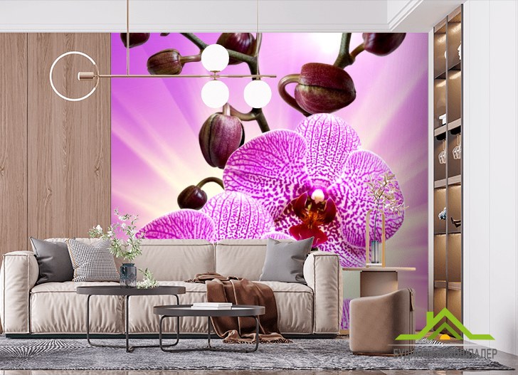 Фотошпалери леопардова орхідея з сяйвом