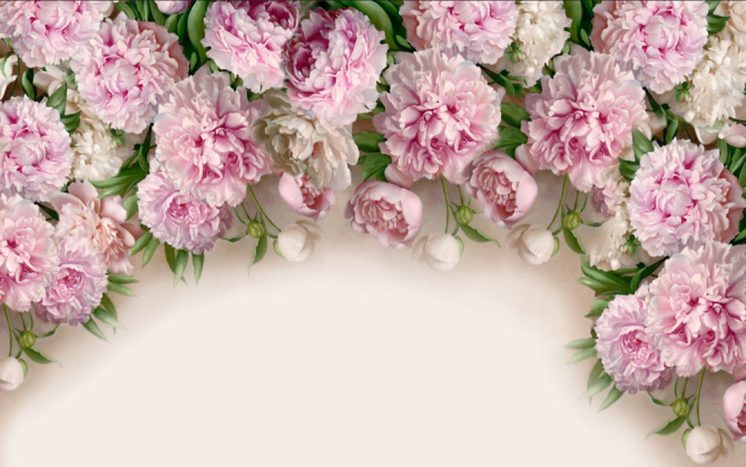 Фотообои Розовые пионы