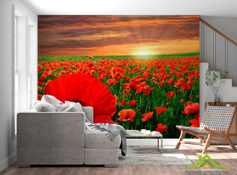 выбрать Фотообои Восход на маковом поле Фотообои Цветы на стену